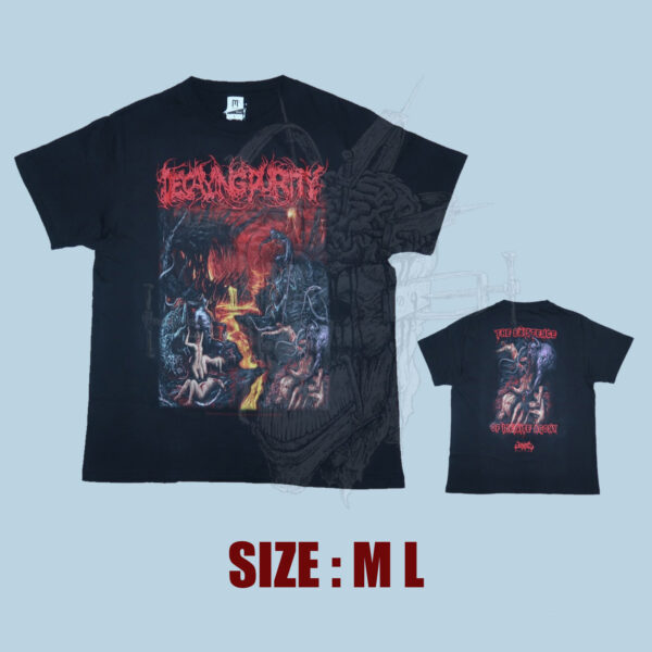 TS - DECAYING PURITY - The Existence Of Infinite Agony