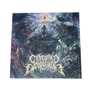 VINYL - CEREBRAL ENGORGEMENT - Cerebral Chronicles