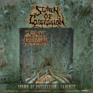 PRE-ORDER - FLAG - SPAWN OF POSSESSION - CABINET