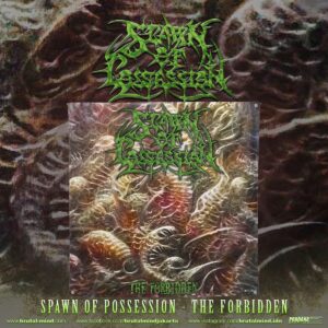PRE-ORDER - FLAG - SPAWN OF POSSESSION - THE FORBIDEN