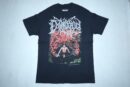 TS - DEMIGOD - Slumber of Sullen Eyes - (Used)
