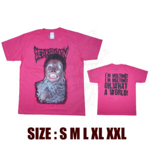 TS - DETERIORATION - I'm Melting! I'm Melting! Oh, What A World!