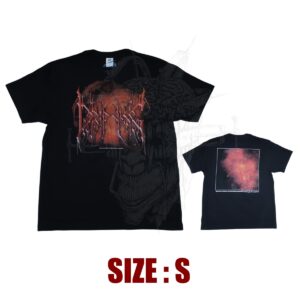 TS - DRIPPING - Logo