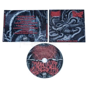 CD - HACKED UP | DESECRATED EXTINCTION - Reanimated By Putrid Larvae