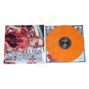 VINYL - DISGORGE - Chronic Corpora Infest (Orange Marbled)