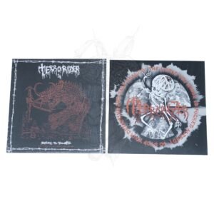 VINYL -TERRORIZER - Before The Downfail