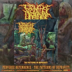 PRE-ORDER - FLAG - PERVERSE DEPENDENCE - THE PATTERNS OF DEPRAVITY