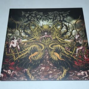 VINYL - INGESTED - Surpassing the Boundaries of Human Suffering - (Used)