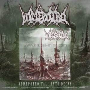 PRE-ORDER - FLAG - VOMEPOTRO - FALL INTO DECAY