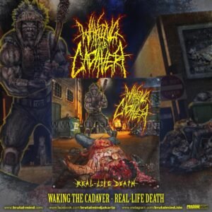 PRE-ORDER - FLAG - WAKING THE CADAVER - REAL LIFE DEATH