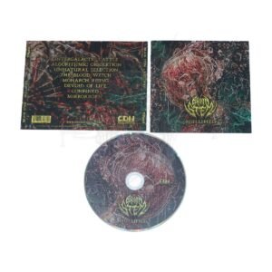 CD - BRAIN STEM - Nullified