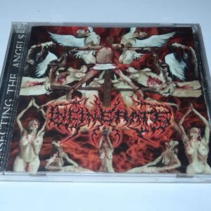 CD - INCINERATE - Dissecting the Angels - (Used)